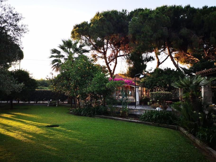 Villa Lena Entire Cottage Kalamaki  Luaran gambar